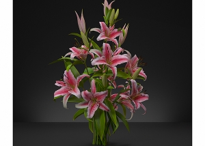 Virtual Flowers Bouquet N1 300x214 - Still Images