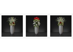 Virtual Flowers Bouquet Triptych N1 000 300x214 - Still Images