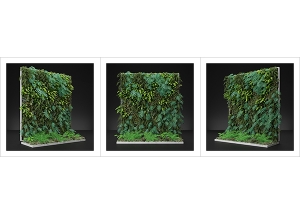 Virtual Vertical Garden N2 000 300x214 - ArtWorks