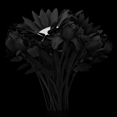 B Eternal Flowers The Black Set 004 400x400 - Visuals. 2014