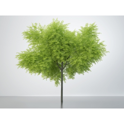 O Virtual Nature Trees 002 1 400x400 - Visuals. 2016