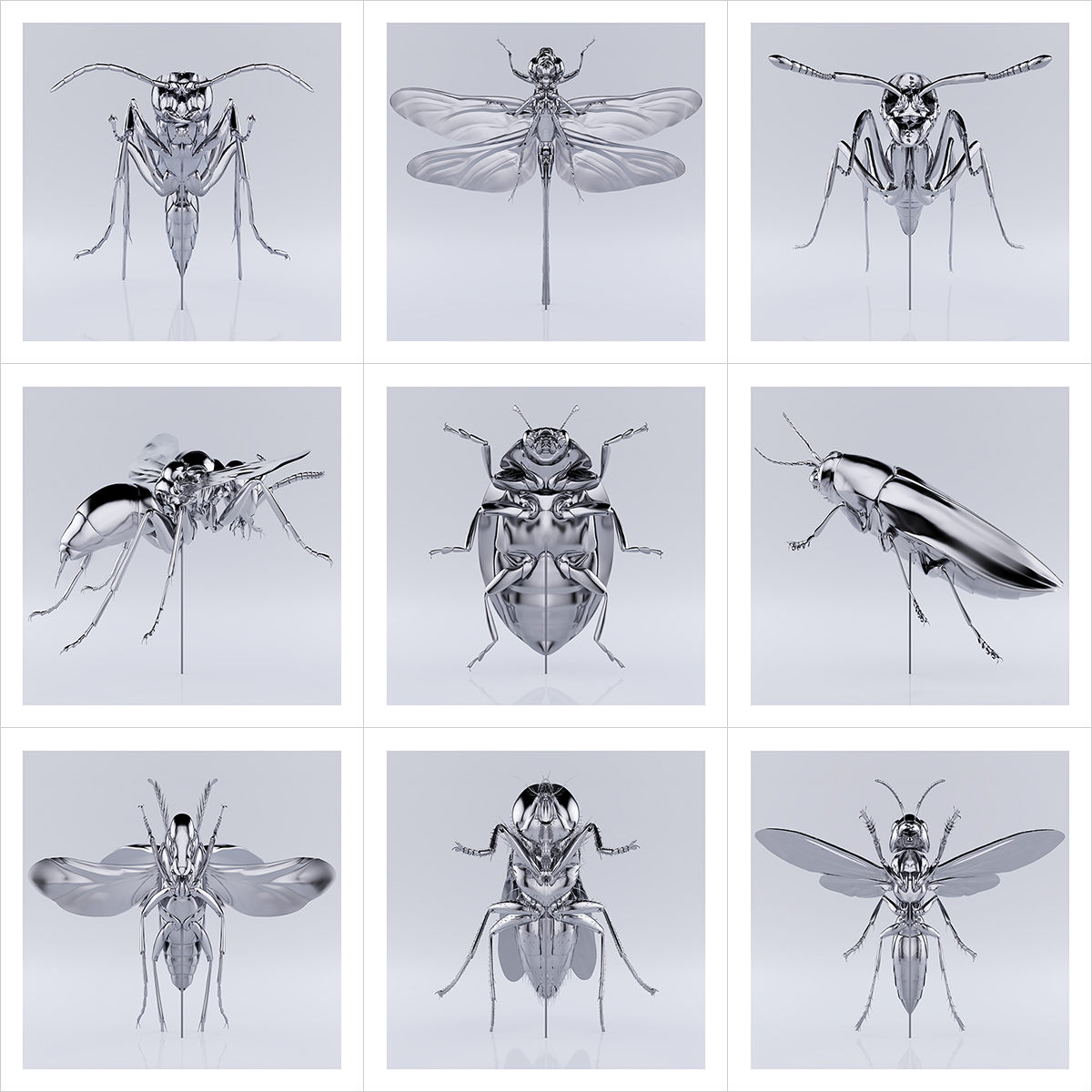 These were the Insects 000 1 - 2020 - These were the Insects