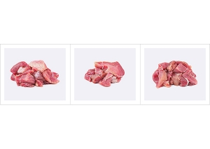 This was HomoSapiens Meat II 000 300x214 - 2020 - This was HomoSapiens. (Meat. II)