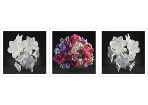 Virtual Flowers 2021 I 000 300x214 - Selected Artworks