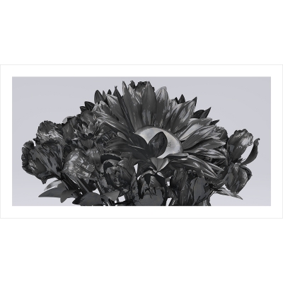 2015 004 Eternal Flowers The Black Set II 002 12001200 400x400 - Visuals. 2015