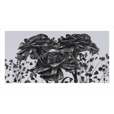 2015 004 Eternal Flowers The Black Set II 005 12001200 400x400 - Visuals. 2015