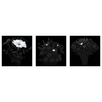 2014 B Eternal Flowers The Black Set 000 12001200 400x400 - Visuals. 2014