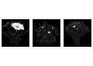 Eternal Flowers The Black Set 000 1 300x214 - ArtWorks