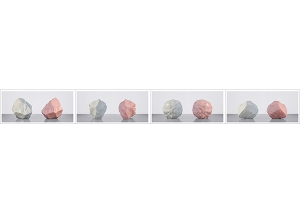 HumanSkin Shaped Stones Diptych 000 300x214 - ArtWorks