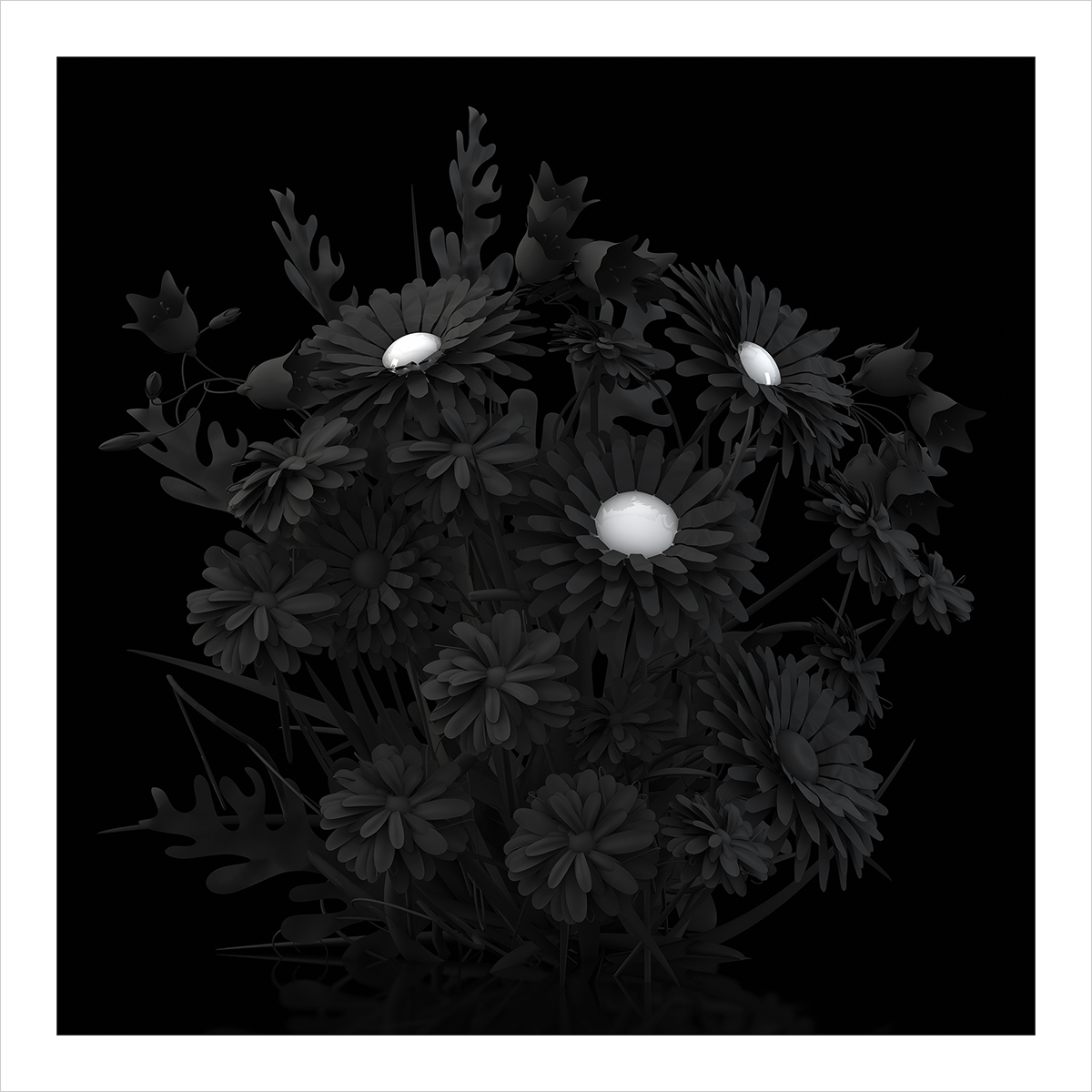 0610 2014 B Eternal Flowers The Black Set 002 12001200 - Visual Resume